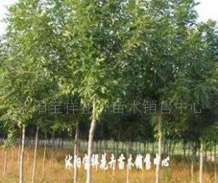 供應電線電纜填充用高檔麻線_紡織、皮革_世界工廠網(wǎng)中國產品信息庫